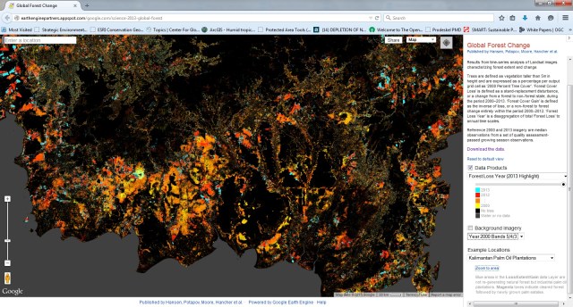 Perubahan kawasan hutan di Kalimantan karena ekspansi sawit.