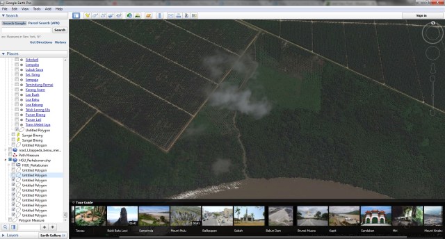 Sawit yang sangat dekat dengan anak sungai Segah