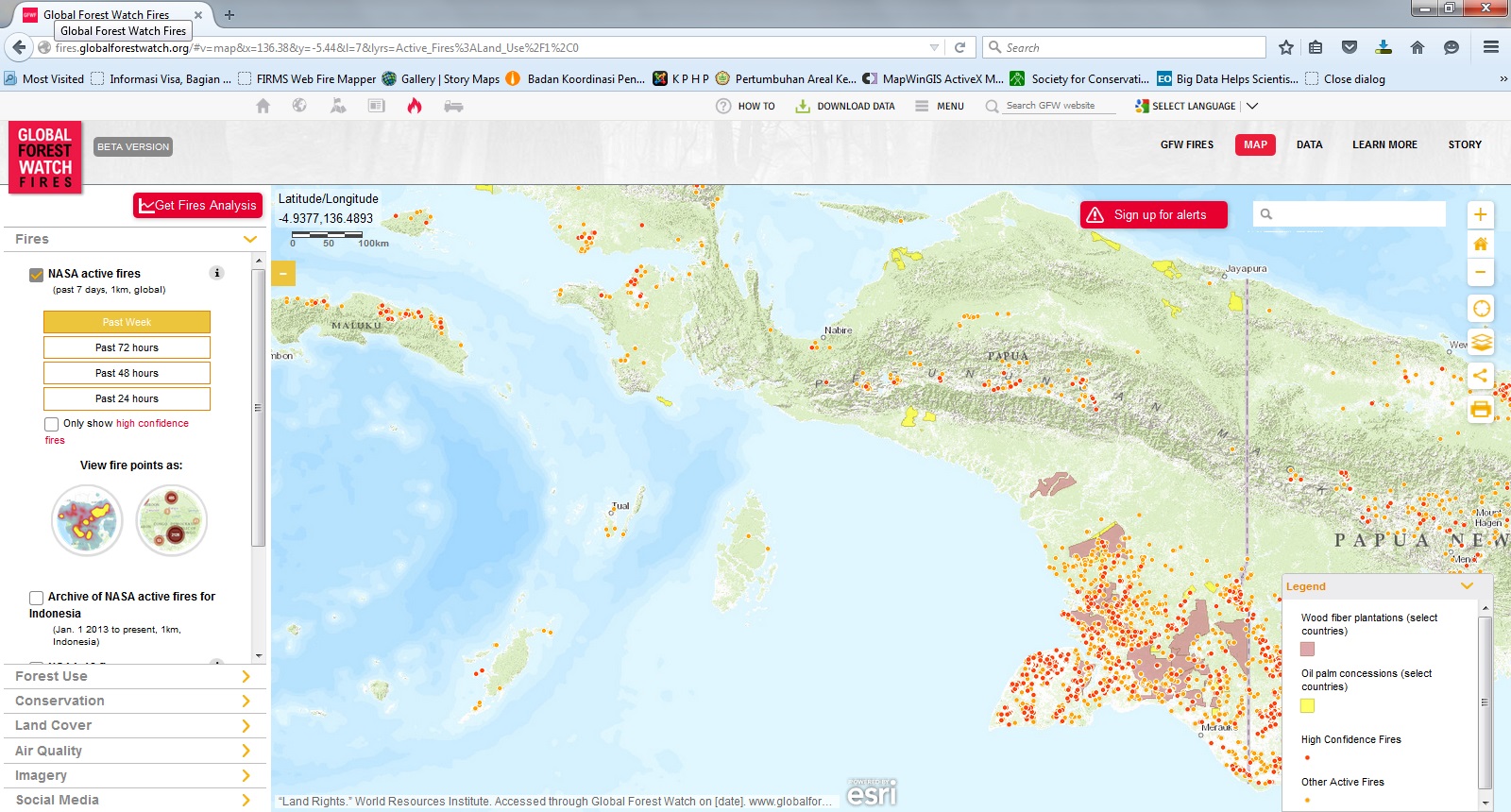 Sebaran titik api dan konsesi di Papua