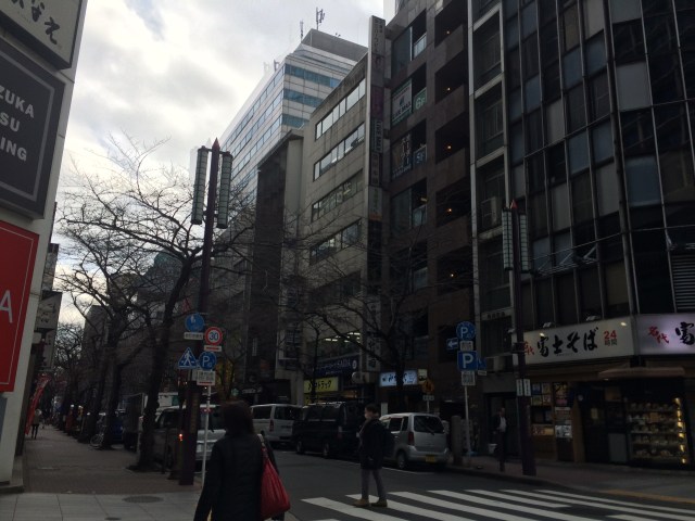 IMG_3794_jalan di downtown tokyo