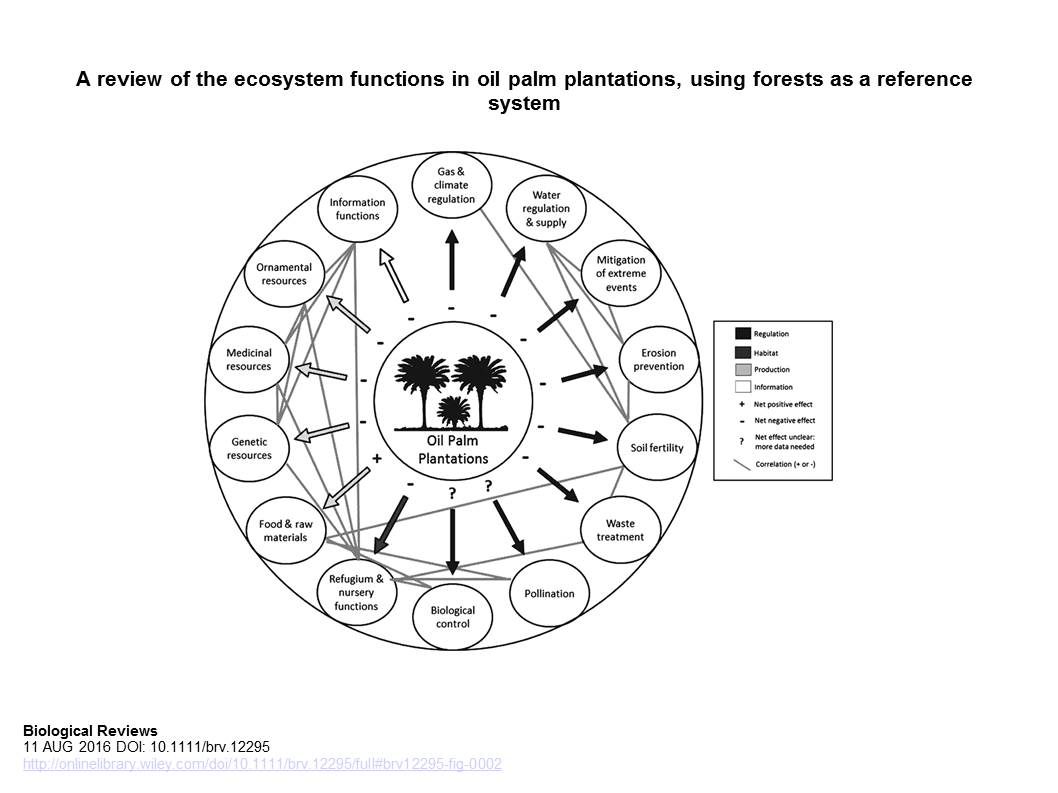 brv12295-fig-0002_10-1111%2fbrv-12295
