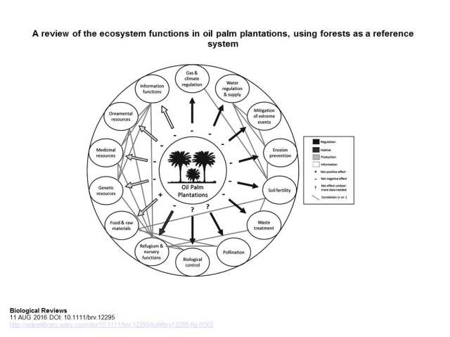brv12295-fig-0002_10-1111%2fbrv-12295