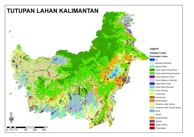 Tutupan lahan Kalimantan
